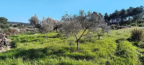 image-L2hA16F4YLL-0