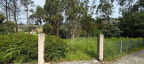image-C2VK8GZU8hS-0