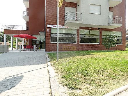 image-43fp5ookprB-0