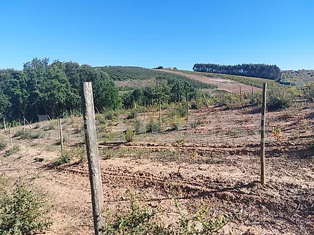 Land for sale in Bombarral, Portugal — €365,000