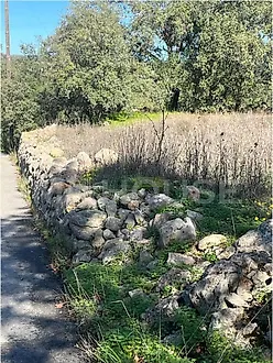 Terreno em Loulé