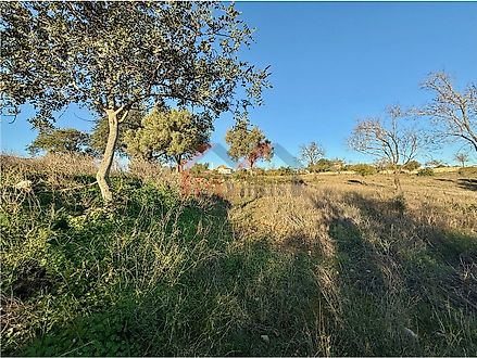 Land for sale in Loulé, Portugal — €3,500,000
