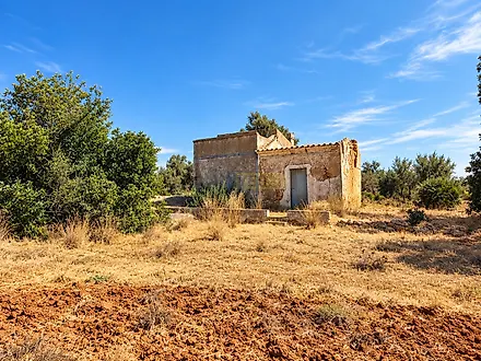 image-KZVOuErv2XA-0