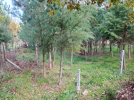 image-5SvQ82TaLHW-0