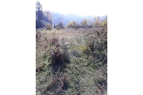 image-I7XLeVU3mhI-0