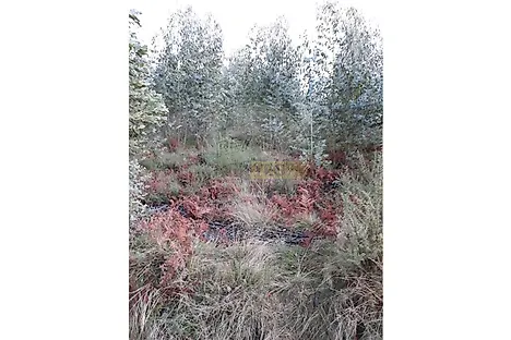 image-LLCfUdCGHNP-0