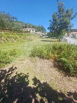 image-2THsJJApTXG-0