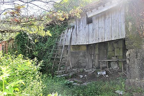 image-65SgSpDNUpa-0