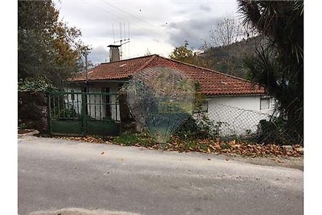 image-95EFQITzbZe-0