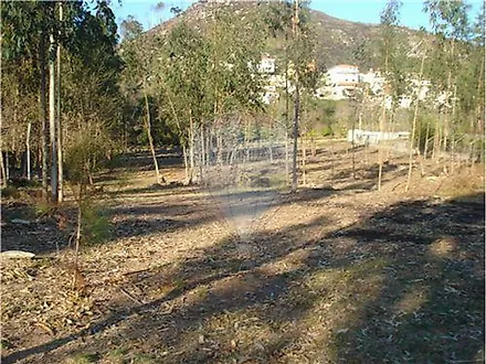image-Al4h0XrENr8-0