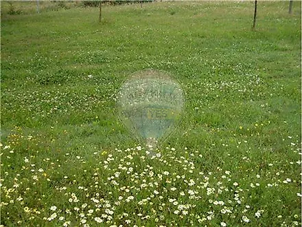 image-J82EpKYjL9z-0