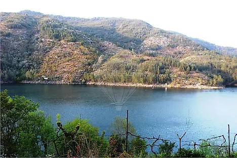 image-KfARVbJnExp-0
