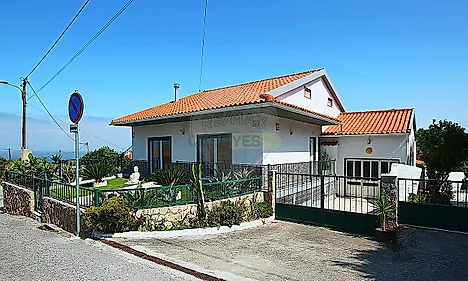 image-1zCuttR8d59-0