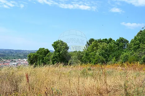 image-5qNM51bzyje-0