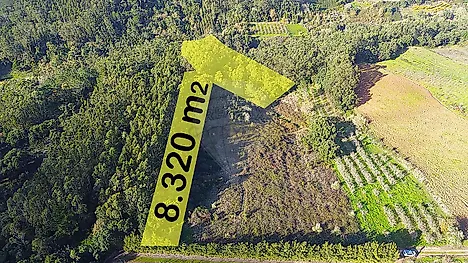 image-68oNRkUZkej-0