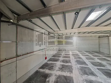 image-LJoZP4bIjxQ-0