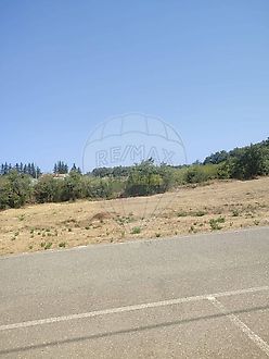 image-3oZi6hShrNA-0