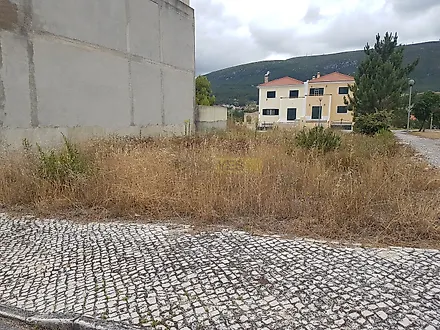 image-ImAPItVrkaS-0
