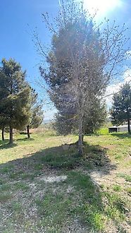 image-JCjKhXa04pi-0