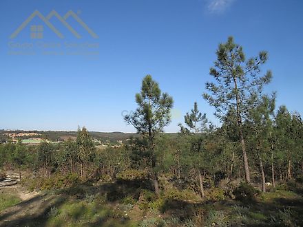 image-4b8c51cmOur-0