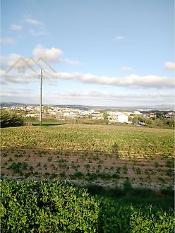 image-GXoYWR9J62H-0