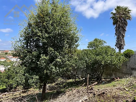 Land for sale in Torres Vedras, Portugal — €75,000