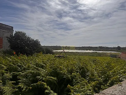 image-HWRh1TzMipc-0