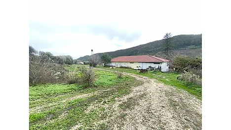 image-4QIXzoYuFjw-0
