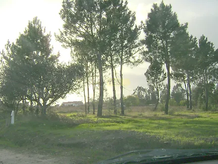 image-5K7RZvV8ccL-0