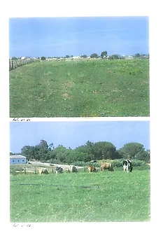 image-JyCBhKiqhSk-0