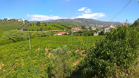 image-FEnlEzYR5h6-0
