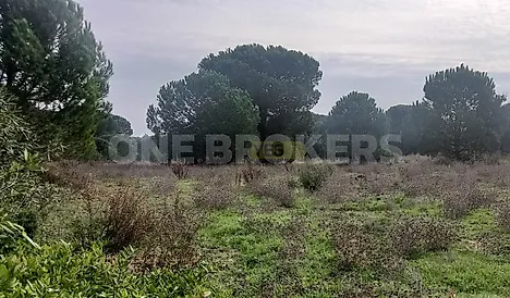 Land for sale in Benavente, Portugal — €250,000