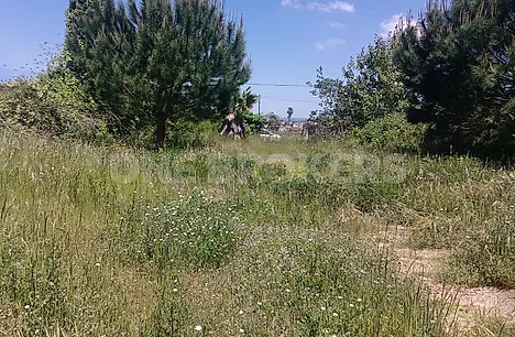 Land for sale in Salvaterra de Magos, Portugal — €60,000