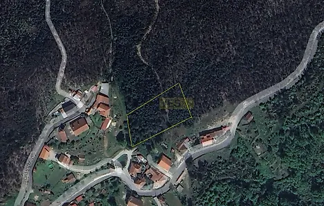 image-6penLMCVNuz-0