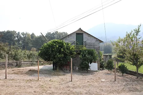 image-ICf7vaDIzTD-0