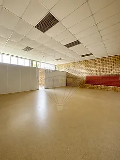 image-HgZXG8DjFuh-0