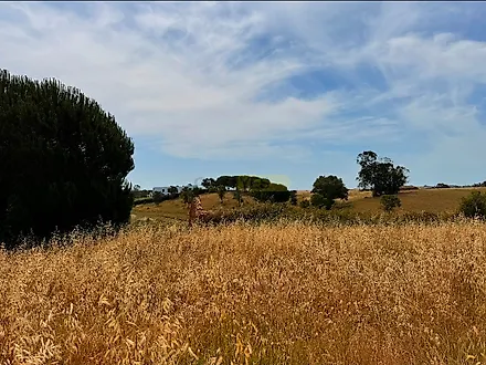 image-Gx2fBjYaVXA-0