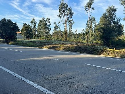 Land for sale in Oliveira do Bairro, Portugal — €97,500