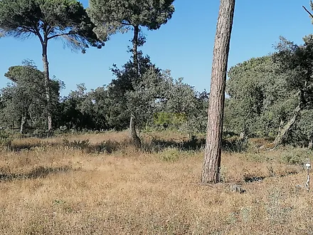 image-7yuMcAGilNr-0