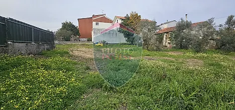 image-JdnpYcs4PzT-0