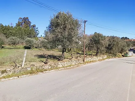 Terreno em Penalva do Castelo