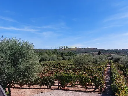 Terreno em Mangualde