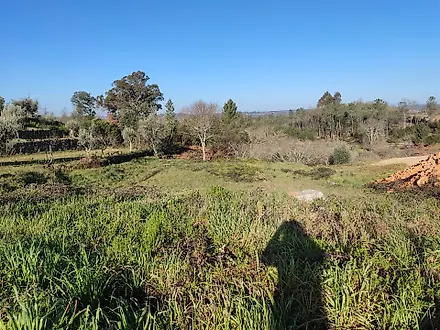 Terreno em Penalva do Castelo