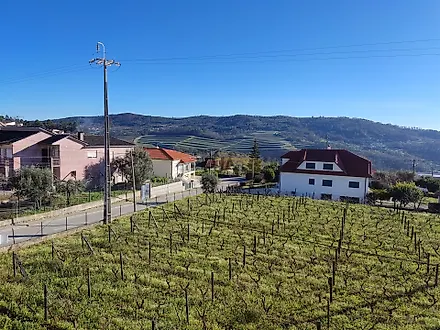 Terreno em Penalva do Castelo