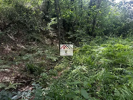 image-2cEUZeOjena-0