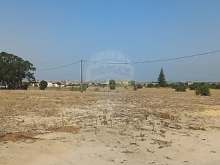image-7pZxAZsZewF-0