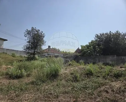 image-AzYhFjsb5g4-0