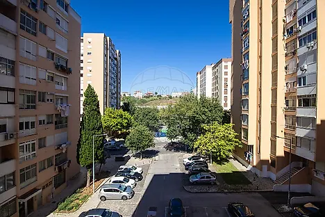 image-8cpkQv7krAG-0