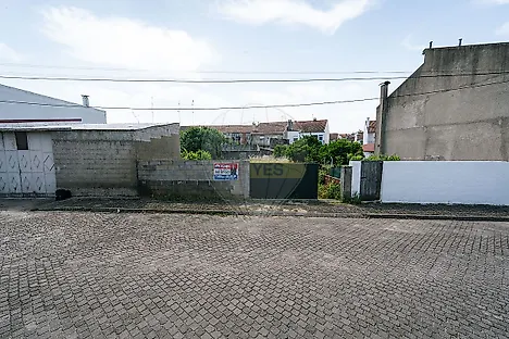 image-14LxDtbzyzP-0