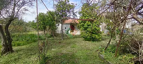 image-GNxkE07IbrX-0